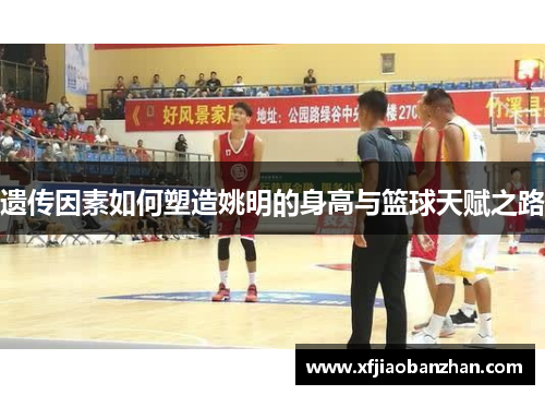 遗传因素如何塑造姚明的身高与篮球天赋之路